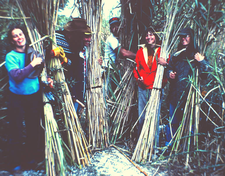 photograph of six smiling people holding tall bundles of grass upright