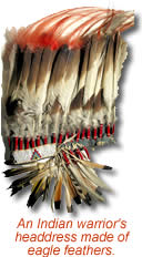 photo of feathered headdress