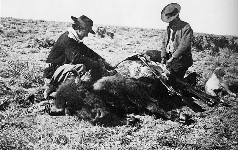 photo of hide hunters skinning a buffalo