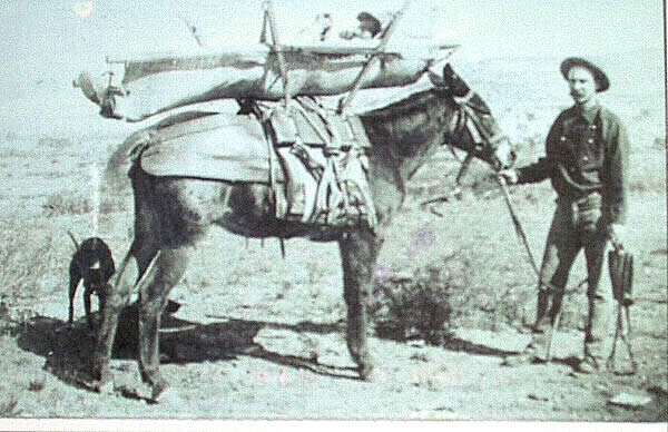 photo of a man in a stretcher on a horse