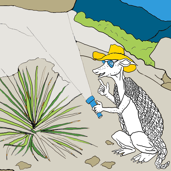 Hueco Tanks Coloring Sheet