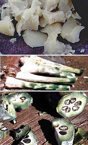 tryptic of prepared desert succulent foods