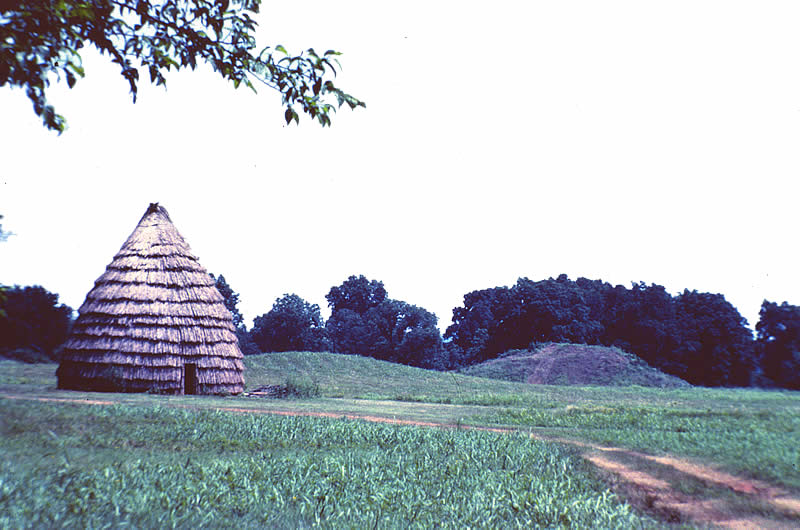 painting of construction of a caddo house