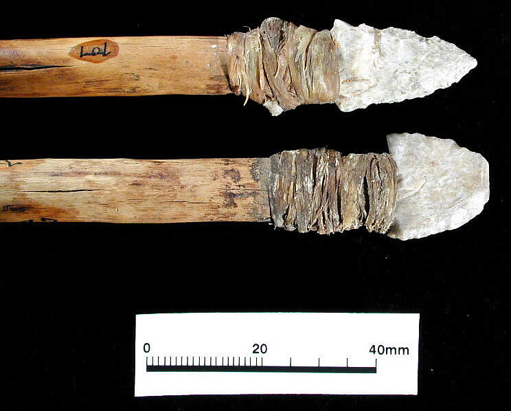 photograph of two stone points affixed to wooden shafts