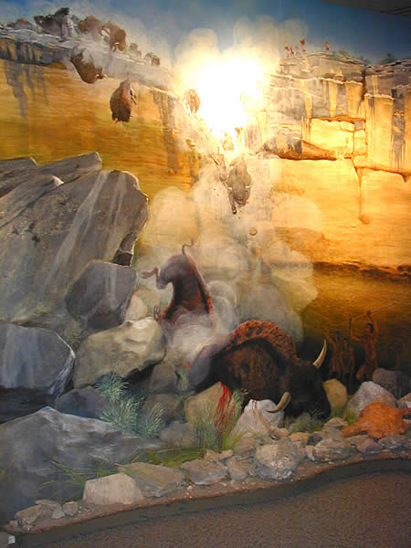 A painting of bison falling from a notch in a cliff and being impaled on the rocks below a rock shelter.