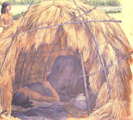 Prehistoric Houses