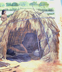 Illustration of a brush hut with someone lying down inside of it.