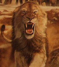 painting of an American lion