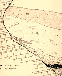 graphic of shelter interior