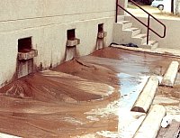 Where the dirt goes. Fine-screen residue outside the laboratory. Photo by E. Mott Davis.