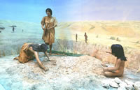 Preparing to Bake. These women are creating an earth oven in which they will bake roots for several days. A pit is dug, rocks are gathered (which will become the heating element), and green vegetation is piled up. The earth oven, when completed, will have multiple layers (from bottom to top): coals, hot rocks, green plants, roots, more green plants, and then a thick cap of earth. Diorama by Mike O'Brien with a background painting by Nola Davis, courtesy of Texas Parks and Wildlife Department.