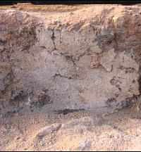 Photo of remnants of plaster on wall interiors.