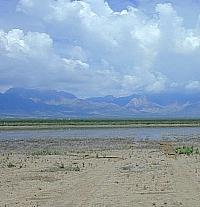 Photo of small surface area of ponded water.