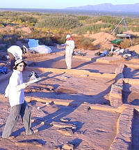 Photo of crew on site