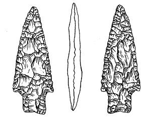 illustration of darl point