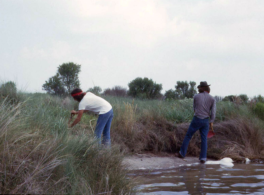 Image of TAS members cutting back the eroding edge along Eckert Bayou.