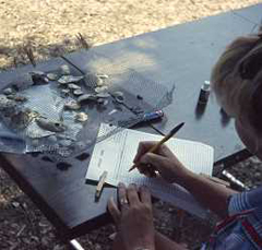 Image of TAS member catalogues the contents of an excavation unit level bag.