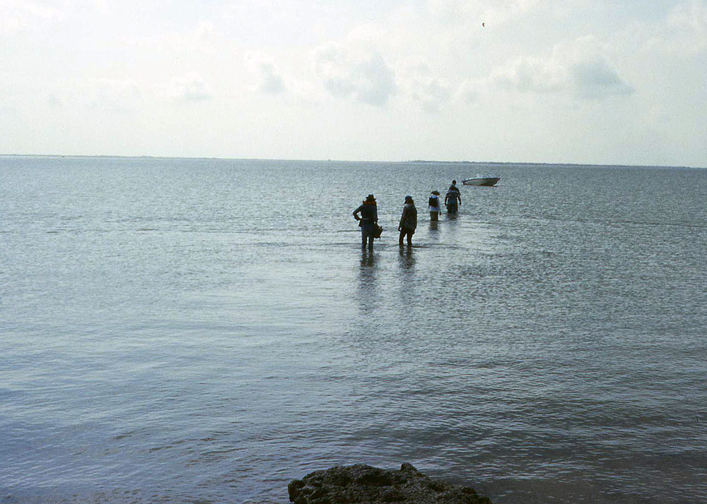 Image of TAS field school participants.