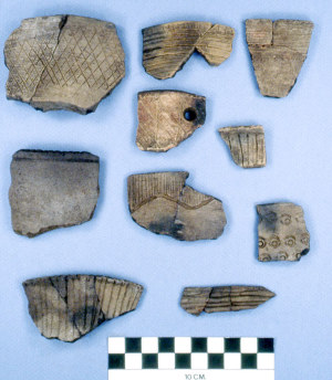 Image of Examples of Mitchell Ridge rim sherds.