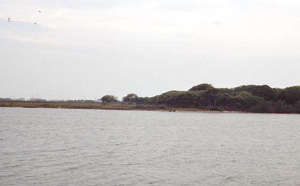 Image of view from Eckert Bayou of the east end of the Mitchell Ridge site.