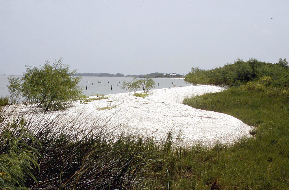 Image of the view looking east across the Eckert Bayou in 1975.