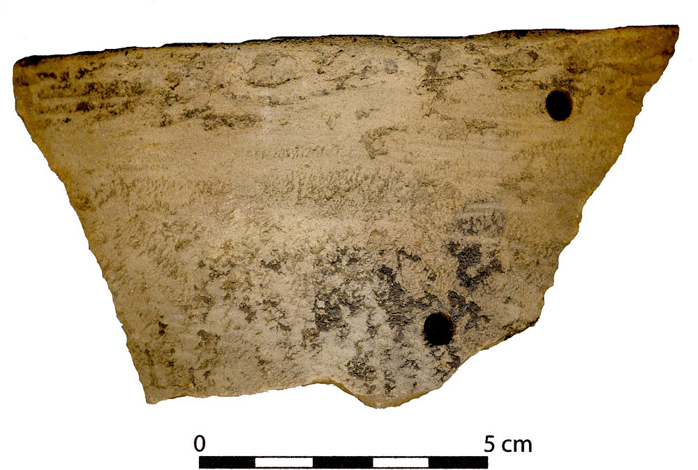 Image of large rim sherd of Goose Creek Plain from Mitchell Ridge.