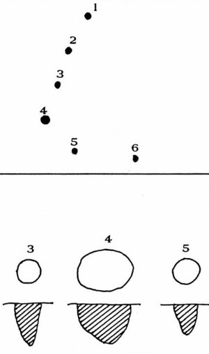 Image of Plan map and plan of cross-section drawings of six post molds.