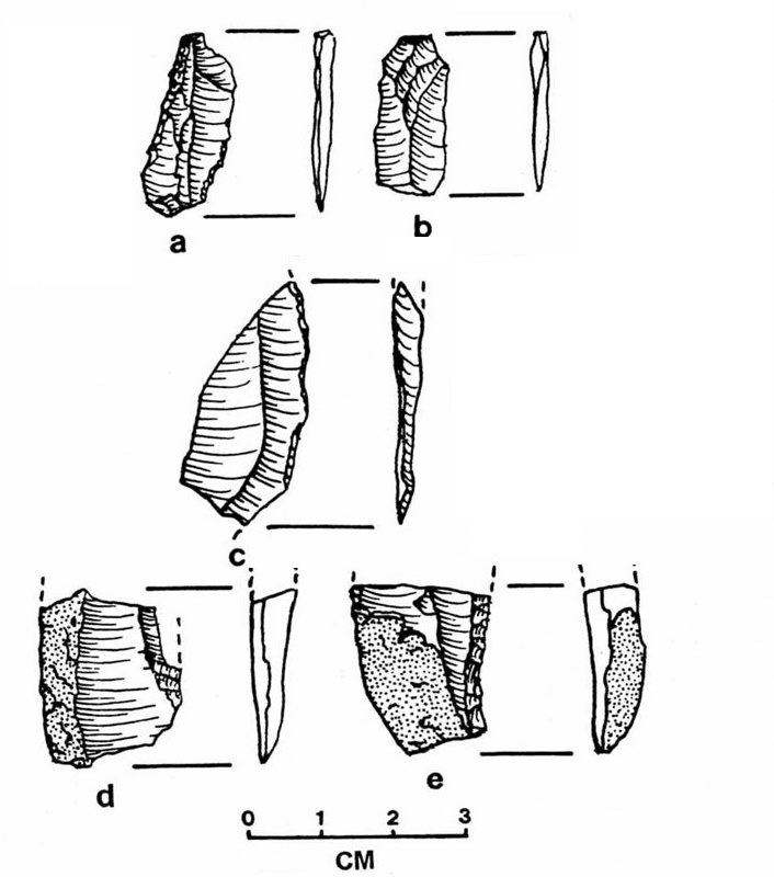 Image of Prismatic blades and blade fragments from the Block Excavations.