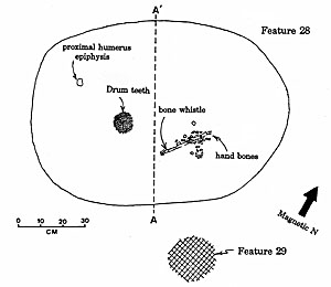 Image of Feature 28, a burial pit containing the token remains of two juveniles.