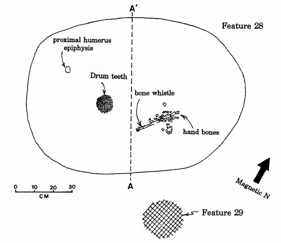 Image of Feature 28, a burial pit containing the token remains of two juveniles.