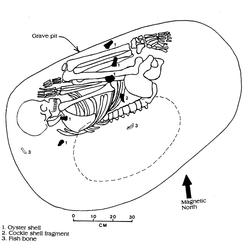 Image of Isolated adult burial, Feature 52, in Area 3.