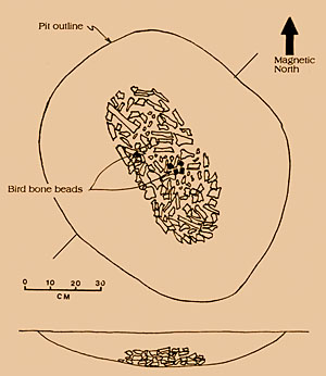 Image of a grave pit containing the remains of a secondary cremation of at least one individual.