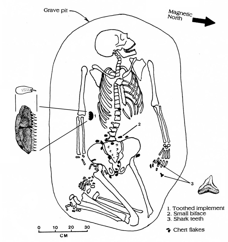 Image of grave  holding an adult male, 35-39 years of age, accompanied by a fascinating set of offerings.