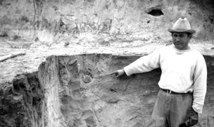 photograph of a mammoth molar