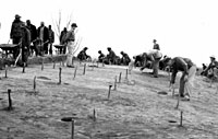 WPA crew excavating upper portion of mound.