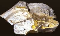 photo of large chert mass