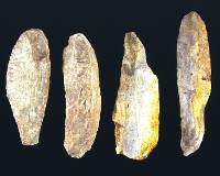 photo of Clovis blades