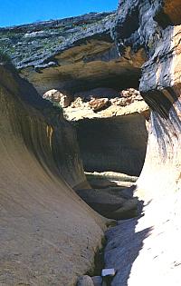 Hanging Cave, so named because it seems to hang over this narrow channe, is also known as No Goat Cave because it is one of few rockshelters in the region that goats can't enterl. This shelter is larger than it looks and contains occupational debris and several pictographs. Photo from ANRA-NPS Archives at TARL.