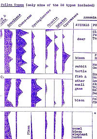 photo of plant pollen chart