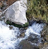 Numerous springs issuing out of the Edwards Aquifer feed the Devils River. Photo from ANRA-NPS Archives at TARL.