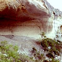 Eagle Cave, near Langtry, contains thick deposits of occupational materials especially cooking debris - burned rocks, charcoal and, ash. Photo by Steve Black.