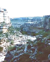 Mile Canyon, one of many short, narrow side canyons that empty into the Rio Grande. The canyon wall in the far background is across the Rio Grande in Mexico. Photo from ANRA-NPS Archives at TARL.