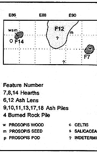 plan map showing location of cooking features