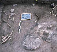 photo of excavations