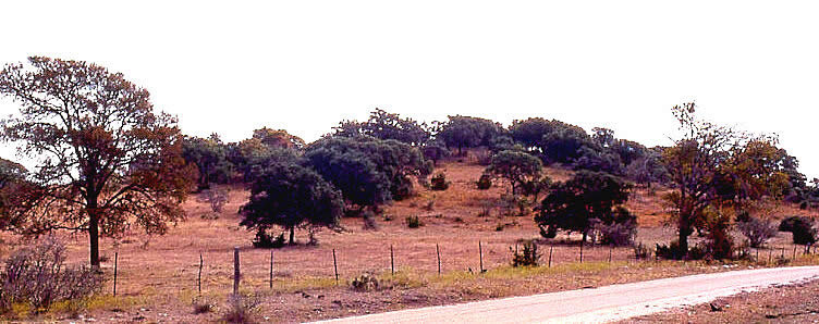 photo of Flint Knob