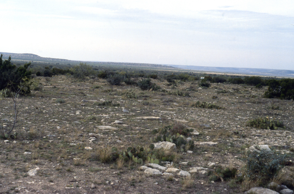 view of campsite