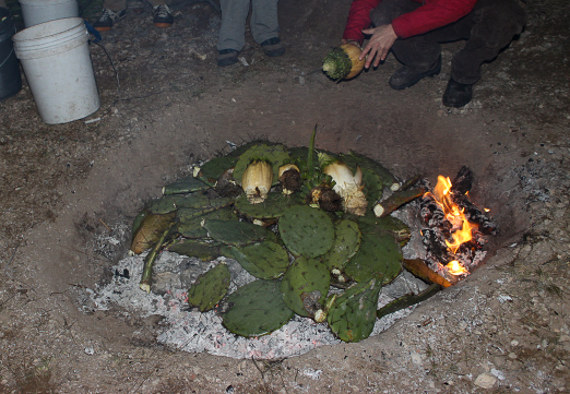 earth oven