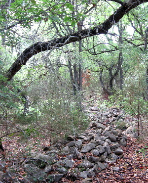 photo of rock walls bnuilt by Ransom Williams