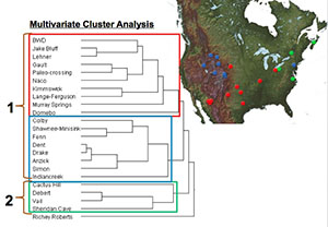 Dendrogram generated in multivariate cluster analysis