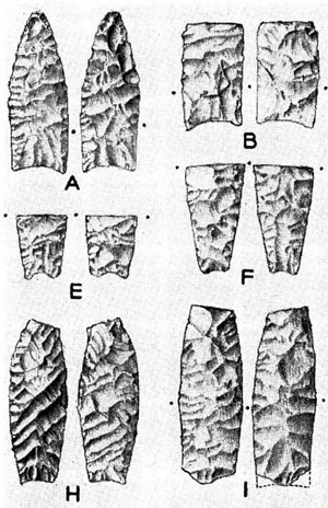 paleoindain projectile points